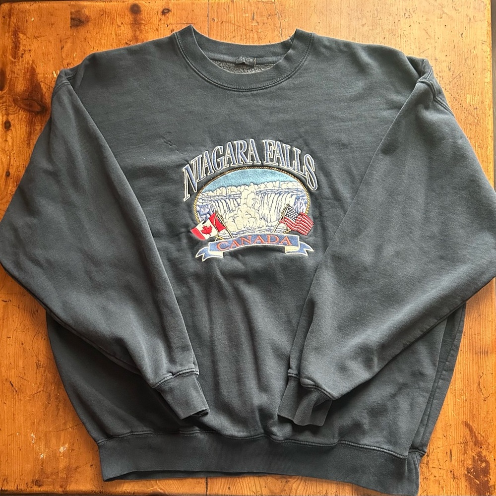 Brandy Melville Niagara Falls Graphic Crewneck Sweater - Dark Gray